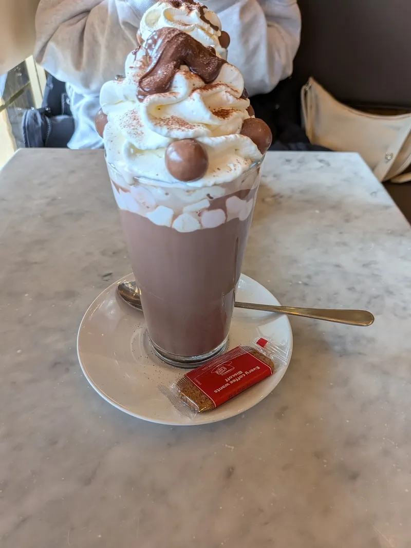 Hot chocolate with whipped cream and chocolate sauce at Caffe Royale